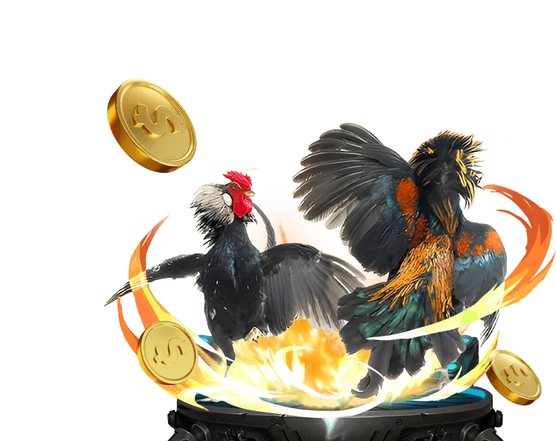 Đa dạng game bài truyền thống và hiện đại